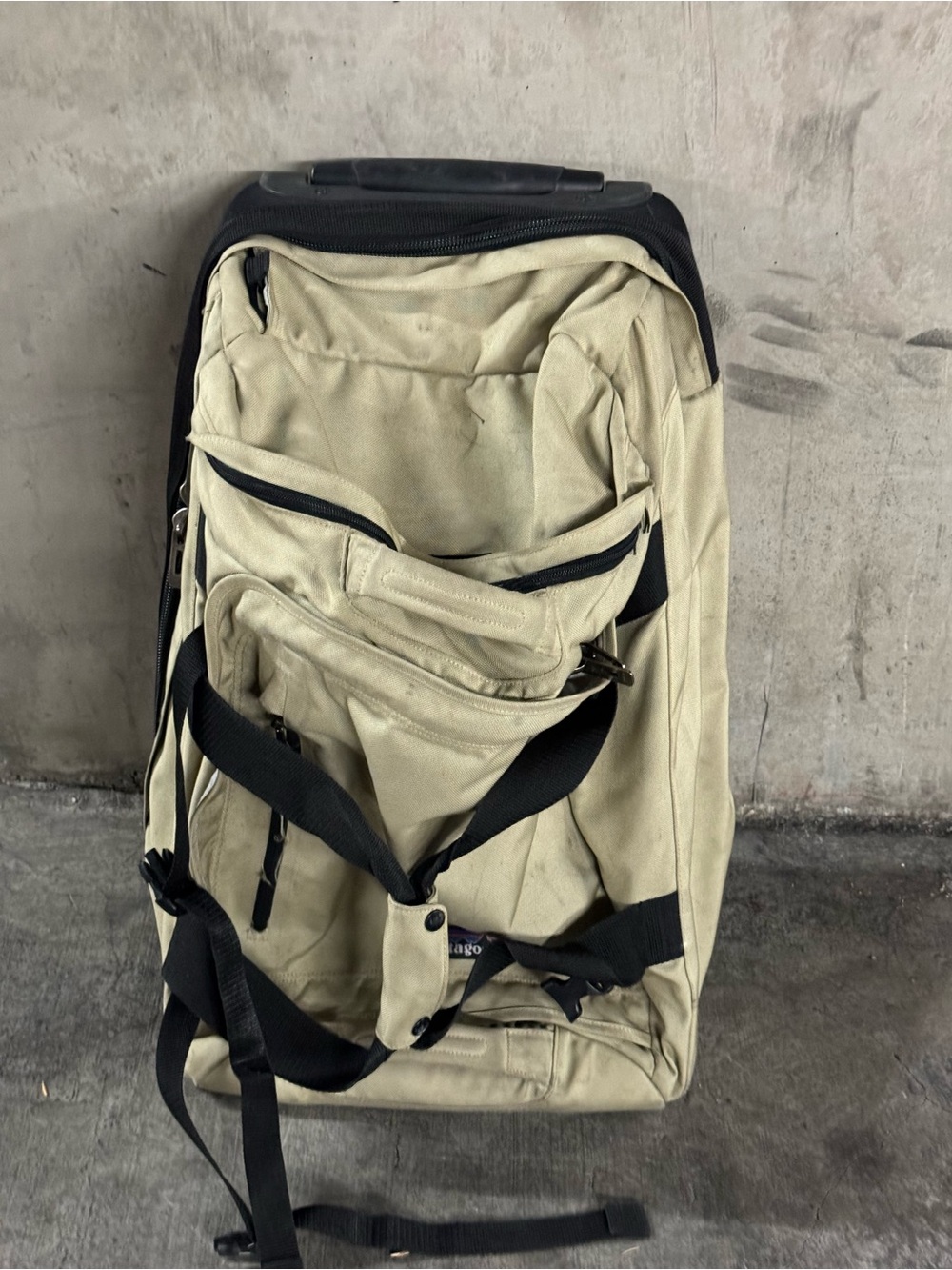 Patagonia Canvas Travel Carry on Luggage